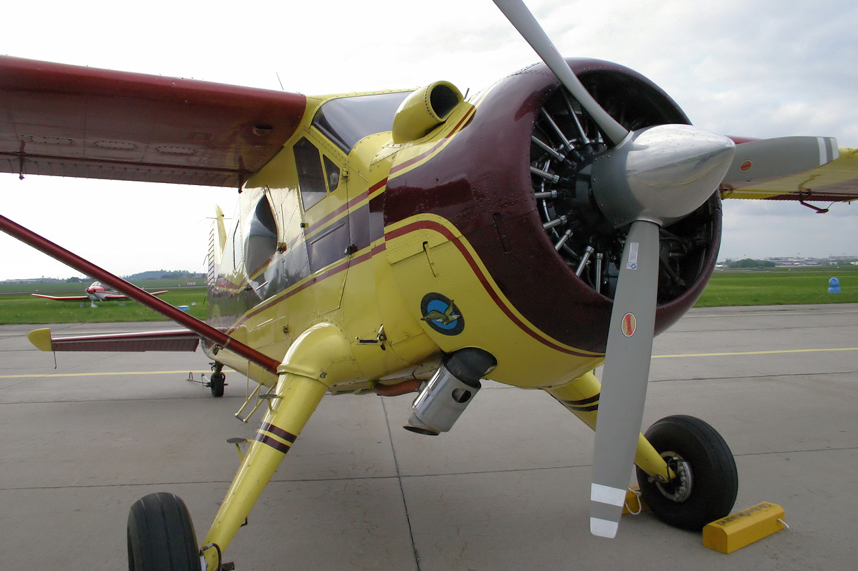 De Havilland Beaver DHC-2 - Sternmotor