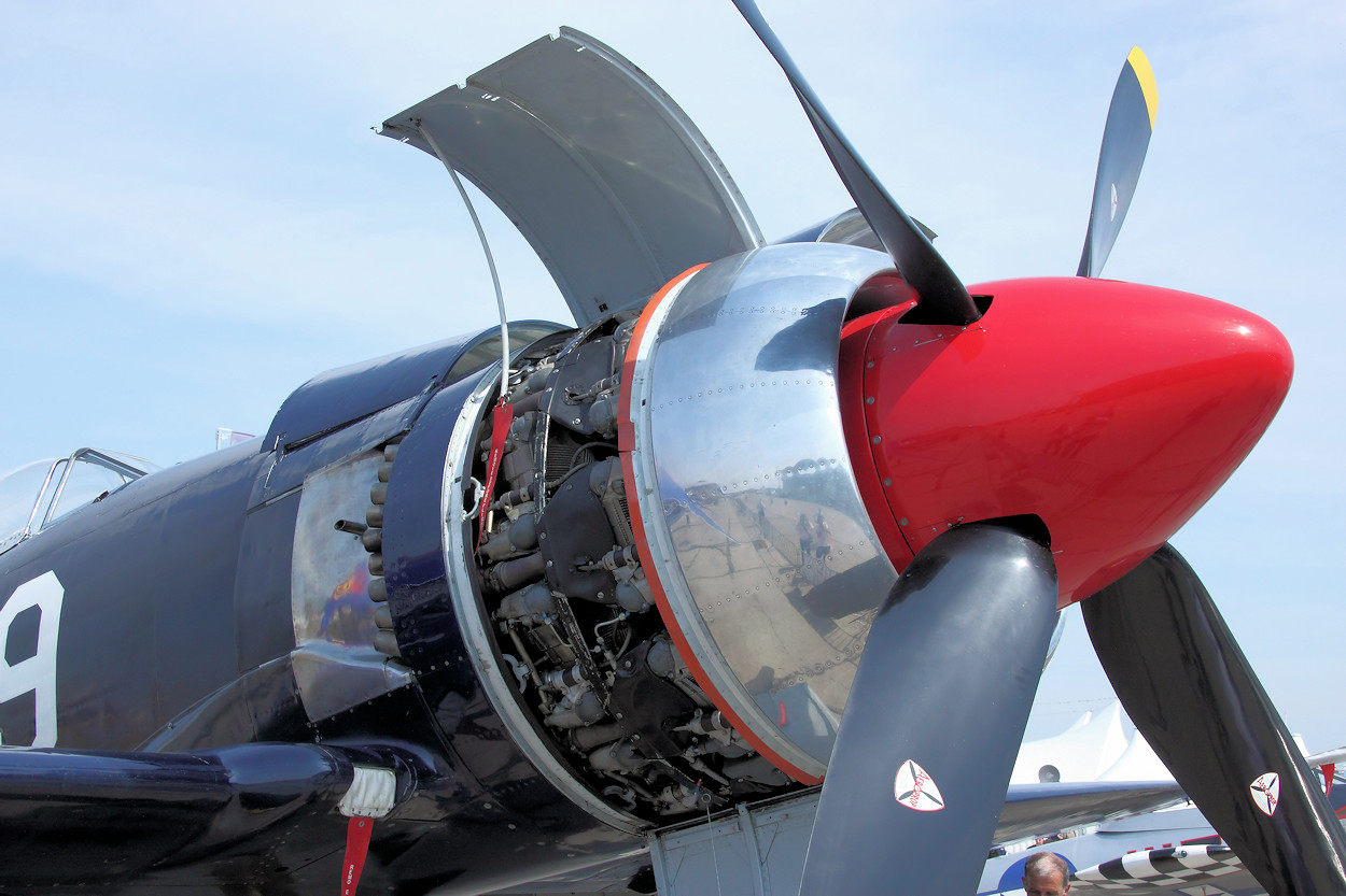 Hawker Sea Fury - Motor und Propeller