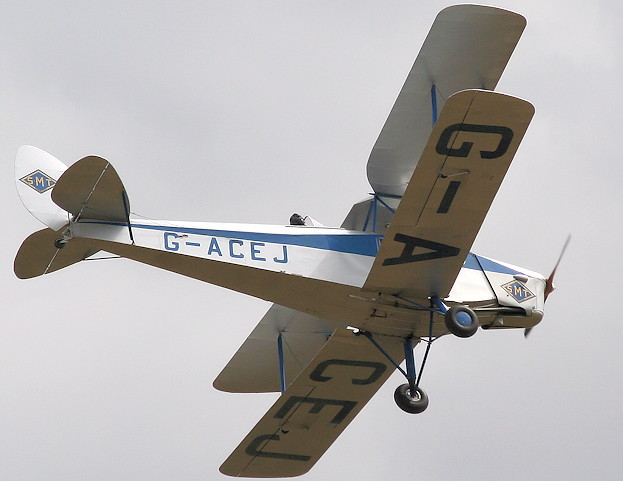 De Havilland D.H. 83 Fox Moth Flug