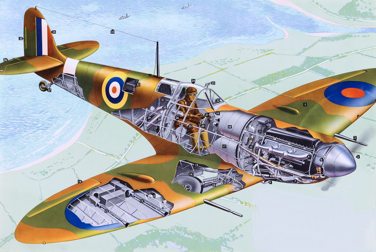 Spitfire - Skizze des Flugzeugs