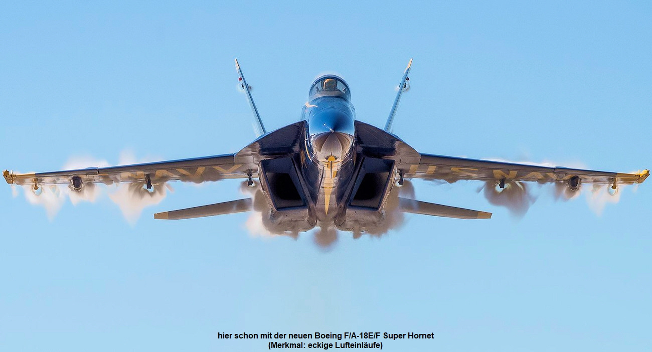 Blue Angels - F/A 18 Super Hornet
