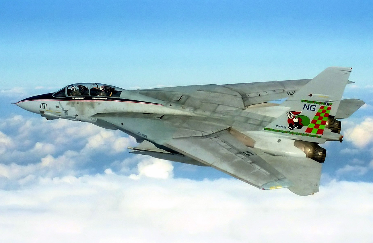 F-14 Tomcat - Schwenkflügel
